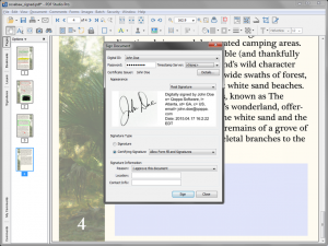 Digital Signature Options