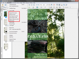 Insert, Split, Extract Replace, & Delete Pages